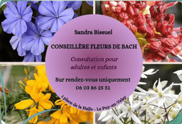 BISSUEL SANDRA